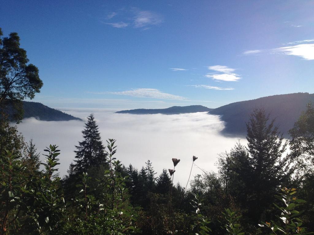Moon Water Lodge Malahat 객실 사진